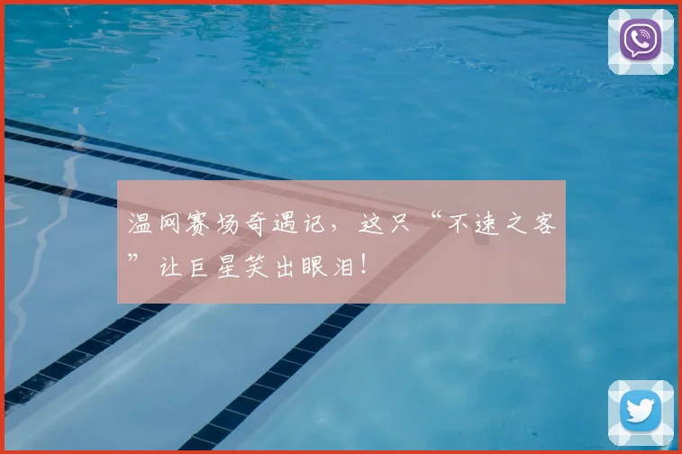 温网赛场奇遇记，这只“不速之客”让巨星笑出眼泪！
