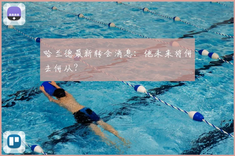 哈兰德最新转会消息:他未来将何去何从?