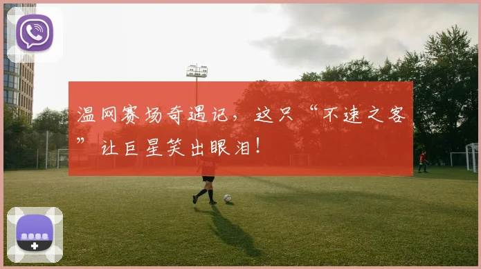 温网赛场奇遇记，这只“不速之客”让巨星笑出眼泪！