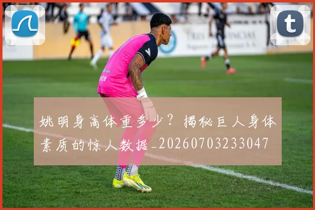 姚明身高体重多少？揭秘巨人身体素质的惊人数据_20260703233047